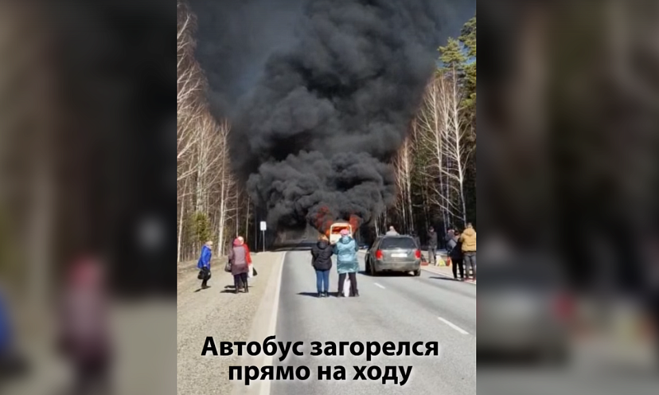 Рейсовый автобус ПАЗ загорелся под Новосибирском