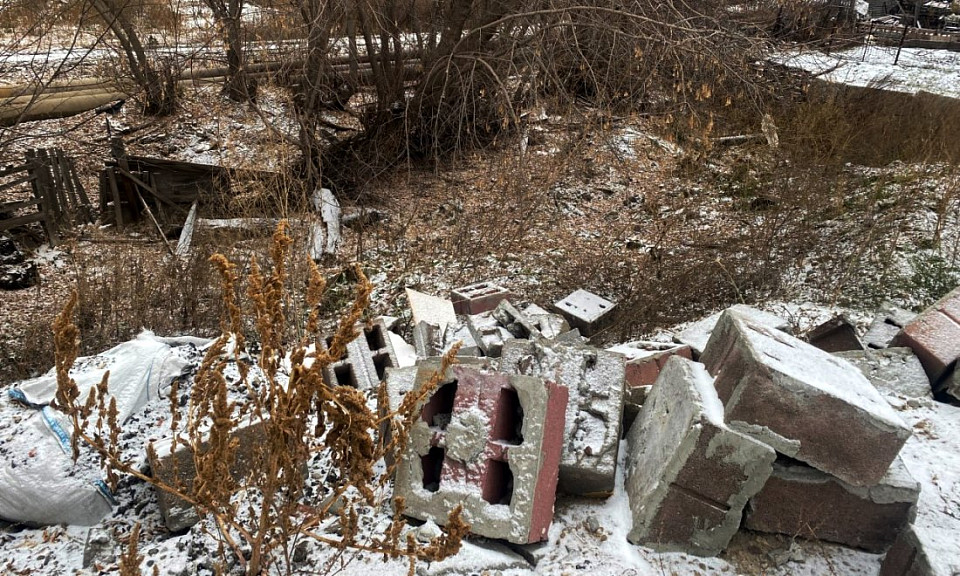 В Новосибирской области 60 человек выплатят штрафы на миллион рублей за свал мусора