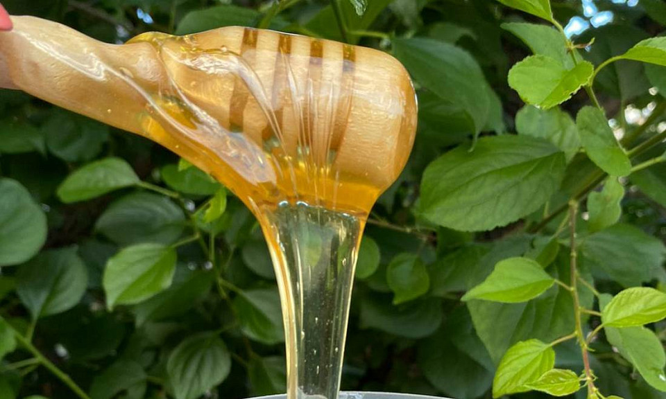 Сибирский мёд активно экспортируют в Казахстан