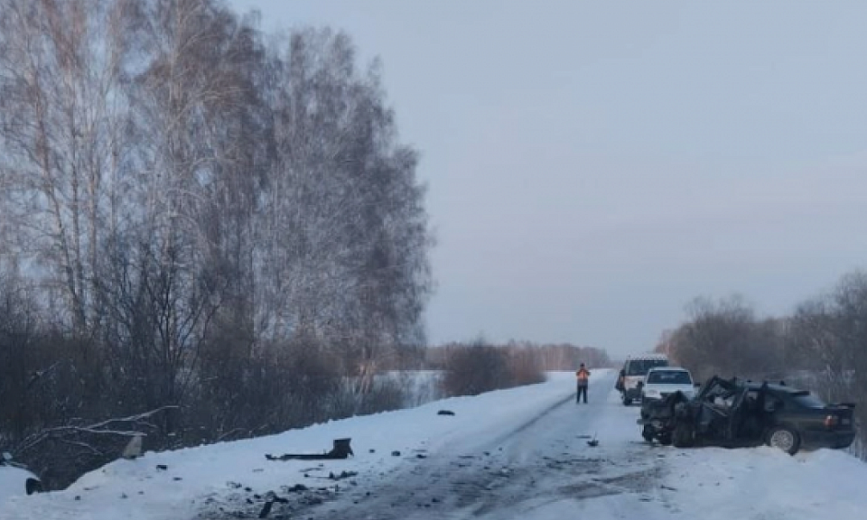 Девушка погибла, ребёнок пострадал: страшное ДТП произошло в Новосибирской области