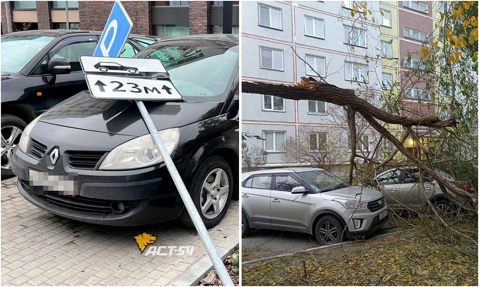 Штормовой ветер повалил деревья и дорожные знаки в Новосибирске