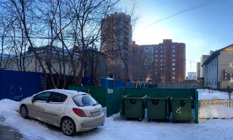 Младенец из мусорки: новосибирский депутат высказался против проекта «Беременна в 16»