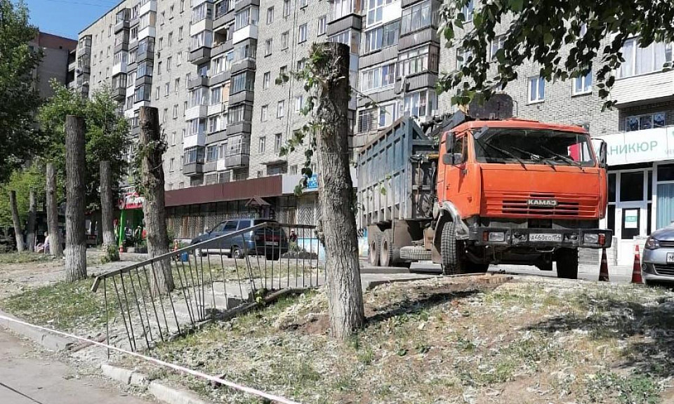 Войну объявили старшей по дому из-за снесённых деревьев в Новосибирске