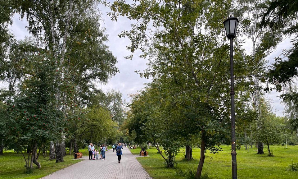 В одном из парков Новосибирска могут спилить почти 1,5 тысячи деревьев
