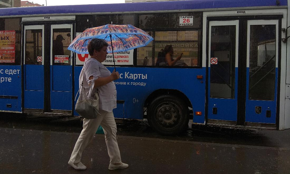 Дожди и заморозки ожидаются в Новосибирске с 27 мая по 2 июня