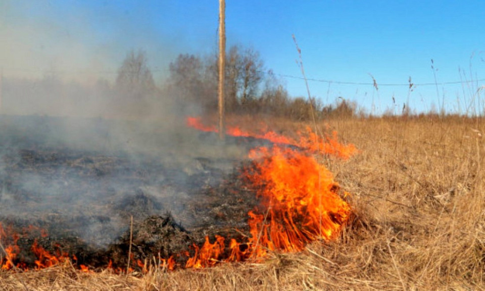 За один лесной пожар сгорают более пяти гектар в Новосибирской области