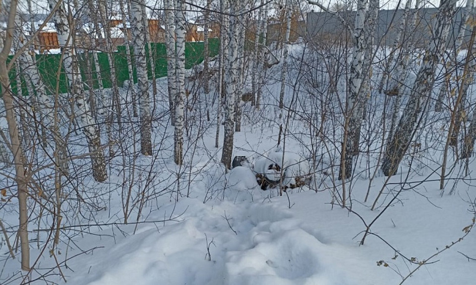 Под Новосибирском обнаружили вмерзшее в лед расчлененное тело мужчины
