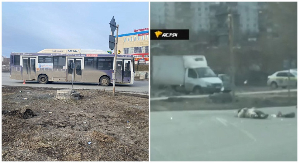 В Новосибирске водитель автобуса № 13 сбил 80-летнюю женщину на «зебре»