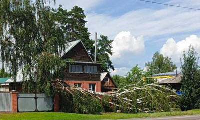 Ураган с порывами до 35 м/с оставил без света 7 тысяч человек под Новосибирском