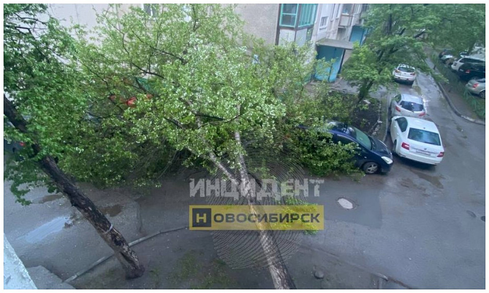 12 деревьев вырвал аномальный шторм с ливнем и градом в Новосибирске