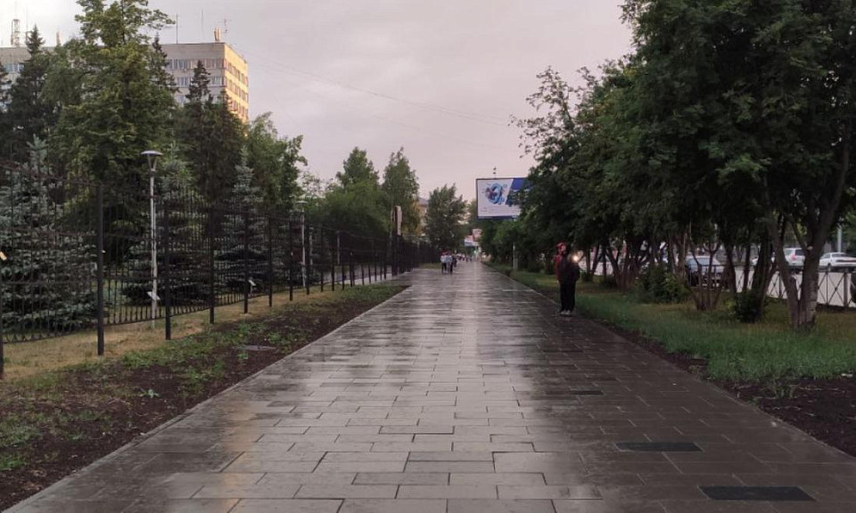 В Новосибирской области жителей предупредили о штормовом ветре