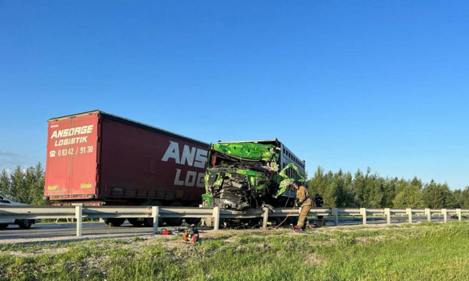 Смертельное ДТП с тремя грузовиками произошло в Новосибирской области