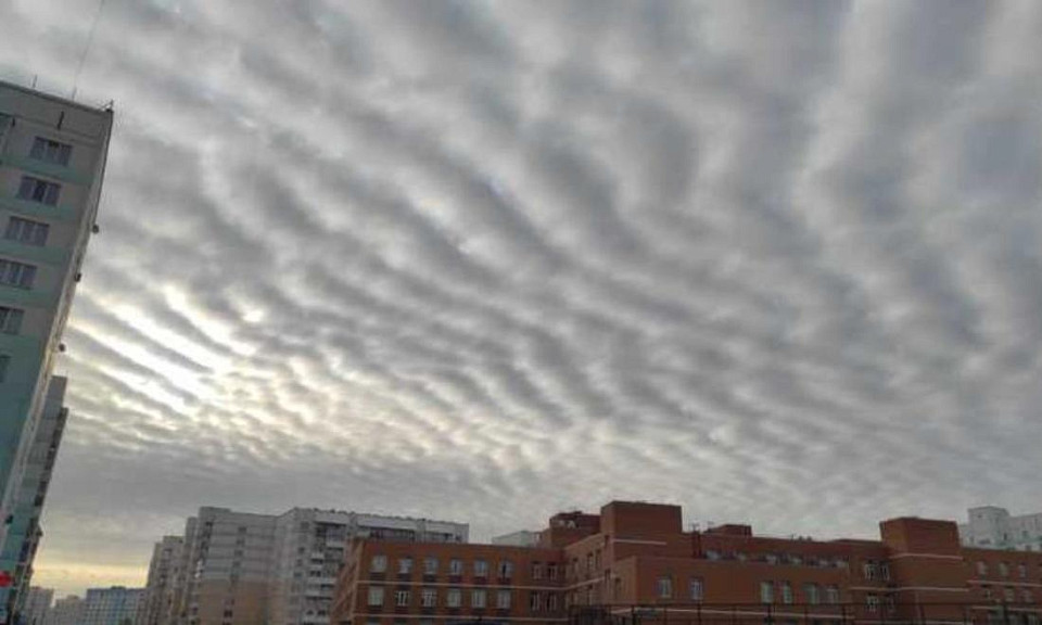 Облака необычной формы увидели жители Новосибирска