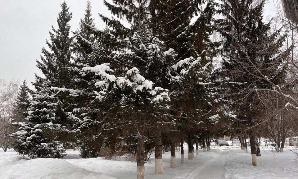 В Новосибирске потеплеет до -1 градуса в праздничные выходные