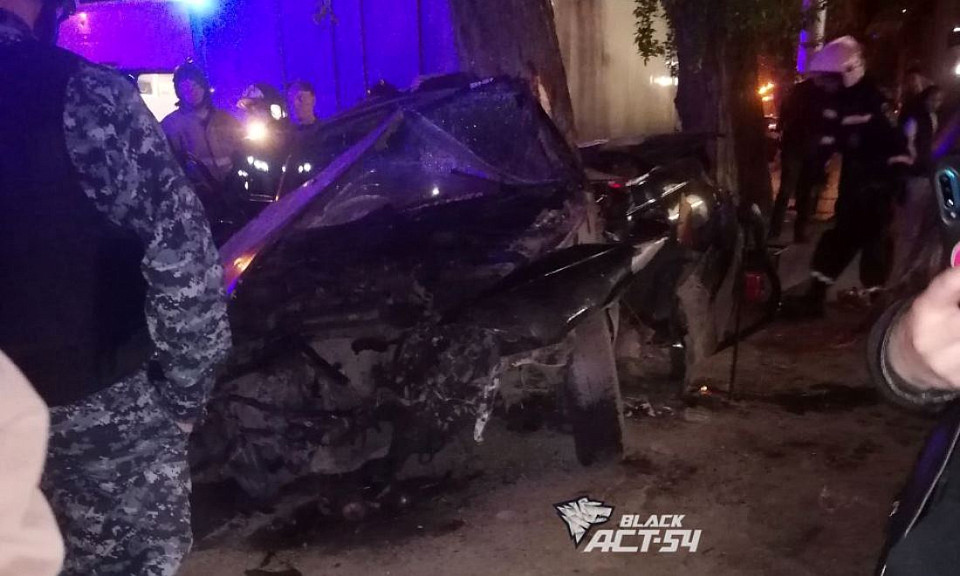 Два человека на «Тойоте» врезались в дерево в Новосибирске