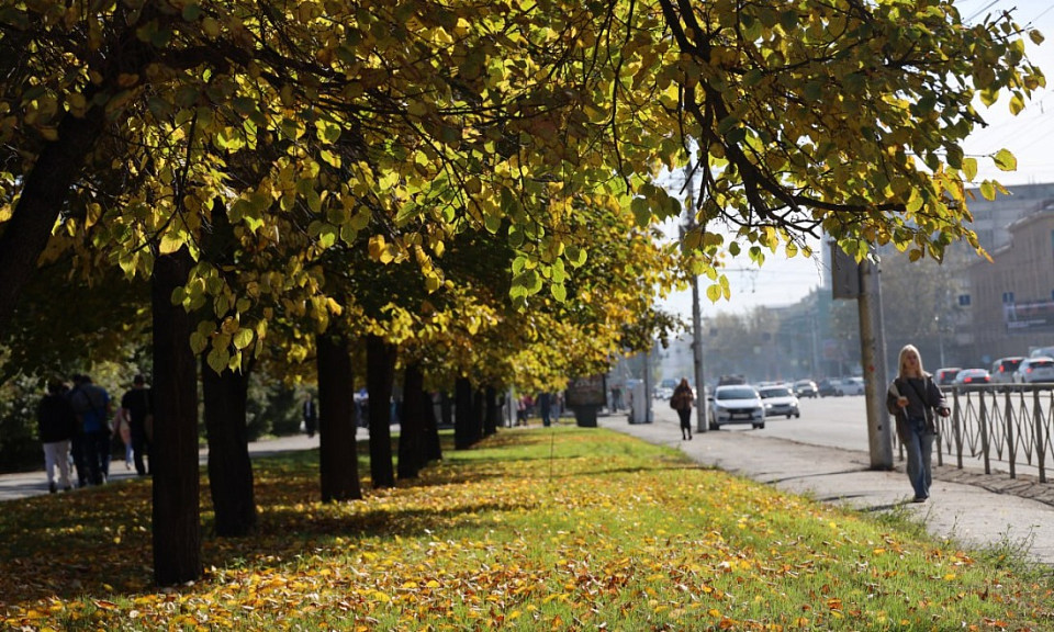 В Новосибирске в конце октября наступит третье «бабье лето» в 2024 году