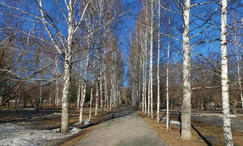 Жители Новосибирской области выбирают объекты благоустройства 2024 года