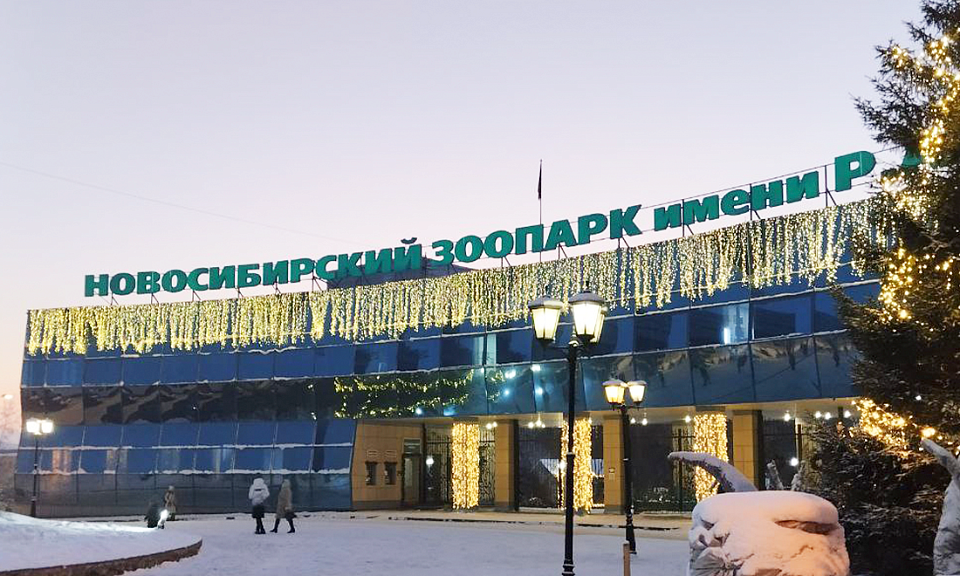 Главный зоопарк Новосибирска поднимет цену льготного входного билета