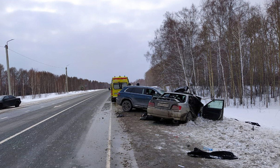 новосибирское домашнее порно порно видео HD