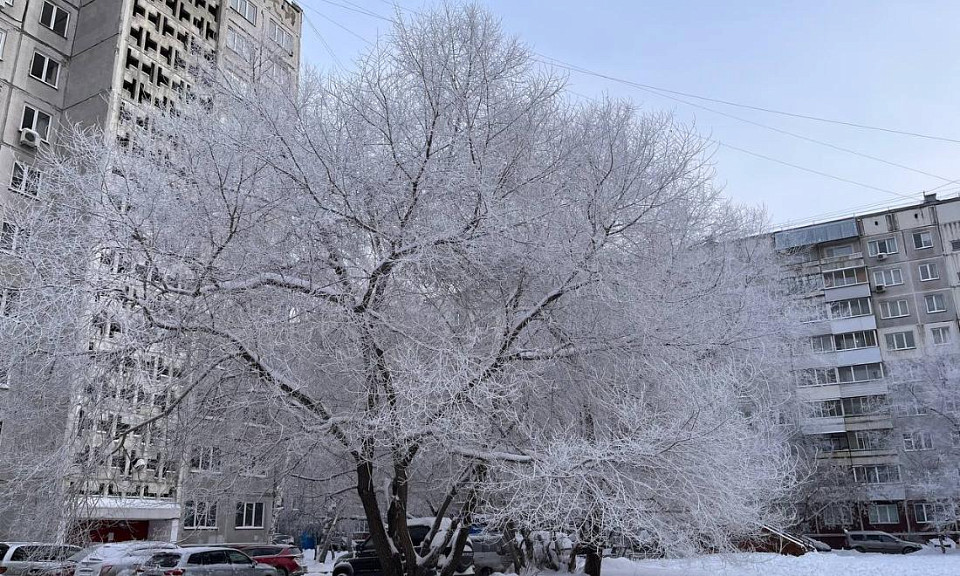 Морозы и ясное небо: что ждать от погоды новосибирцам в ближайшую неделю