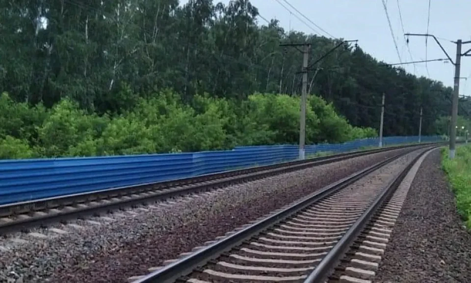Парня насмерть сбил поезд в Новосибирской области