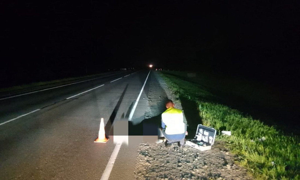 Ночной путник погиб под колёсами неизвестного автомобиля под Новосибирском