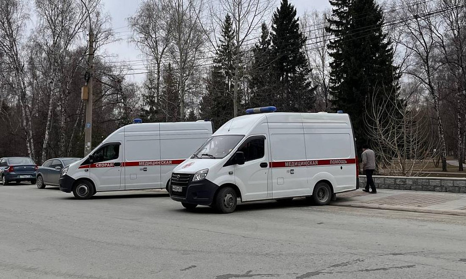 Двое детей попали под колёса автомобилей в Новосибирске