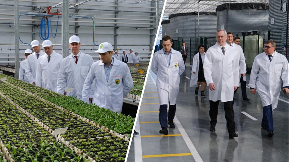 «Одобрено»: какие сельскохозяйственные направления Новосибирской область оценил главный аграрий страны