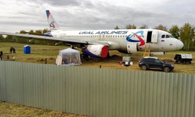 Пилотов, посадивших самолёт под Новосибирском, отстранили от полётов