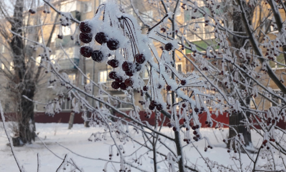 Что сулит мороз на Сретение: погода 15 февраля в Новосибирской области