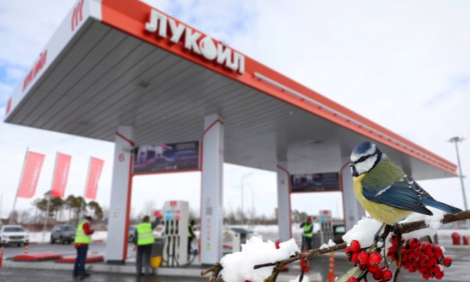 Автозаправки «Лукойла» прекратили работу в Новосибирске