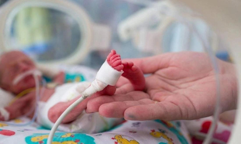 Как вязаные игрушки помогают недоношенным малышам дышать