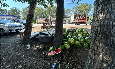 В Новосибирске у нелегальных торговцев на Хилокской изъяли 400 кг арбузов
