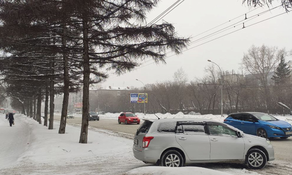Южный ветер — к дождям и грозам: погода на 23 января в Новосибирской области