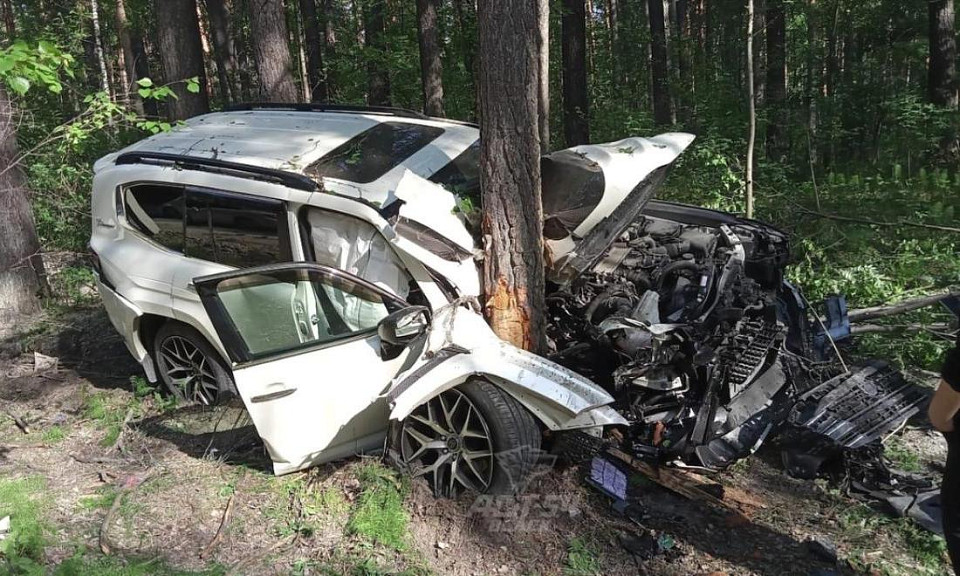 Toyota Land Cruiser 300 «обнял» дерево из-за неприлежного водителя в Новосибирске