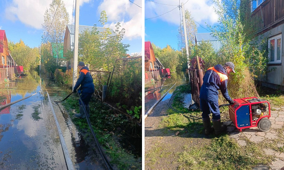 Затопленные дачи третьи сутки спасают на Первомайке в Новосибирске