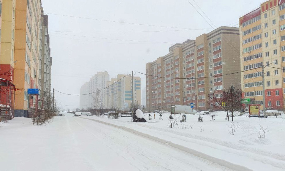 Новая волна снегопадов накроет Новосибирск с 6 февраля