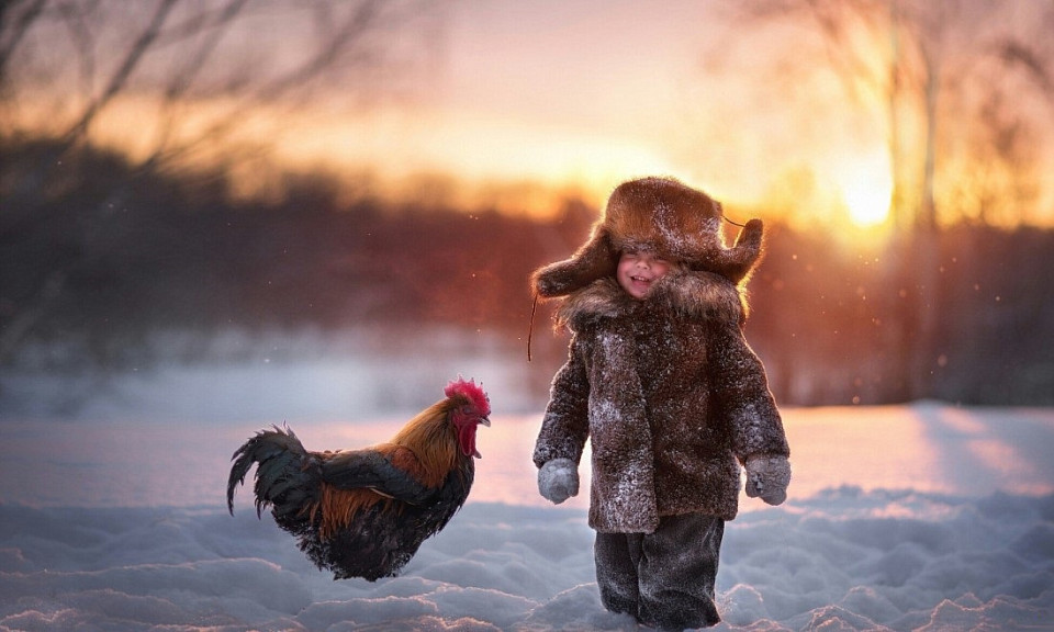 Каким будет лето, если на Клима мороз: погода 8 декабря в Новосибирской области