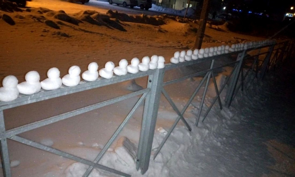 Депутат в Барабинске подарит торт автору необычных снежных уточек