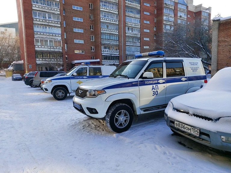 В Новосибирске мужчина получил 20 лет колонии за убийство пасынка