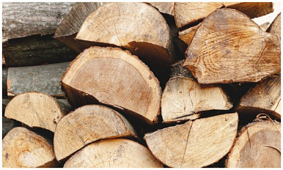 В Новосибирской области директора лесхоза оштрафовали за спекуляцию на дровах