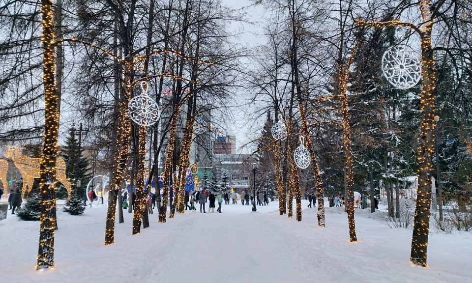 Порывистые ветра — к сладкому году: погода на 19 января в Новосибирской области