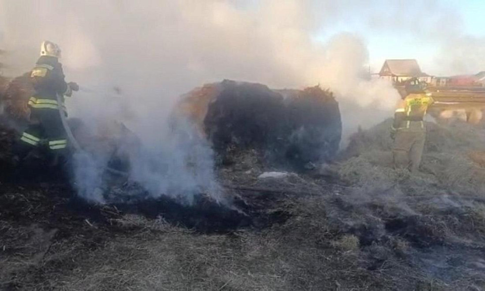 Подростки спалили сено фермера из Новосибирской области