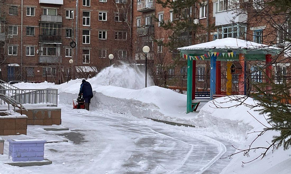 В Новосибирске обещают 16 дней снега в начале марта-2024