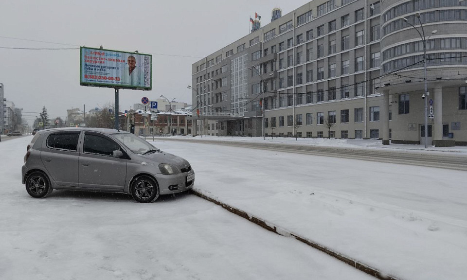 Весь год будет дождливым: погода на 27 января в Новосибирской области