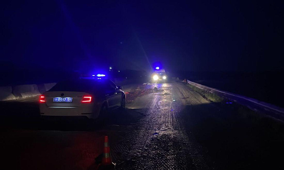 Три человека пострадали в ночном ДТП с «Мерседесом» в Новосибирске