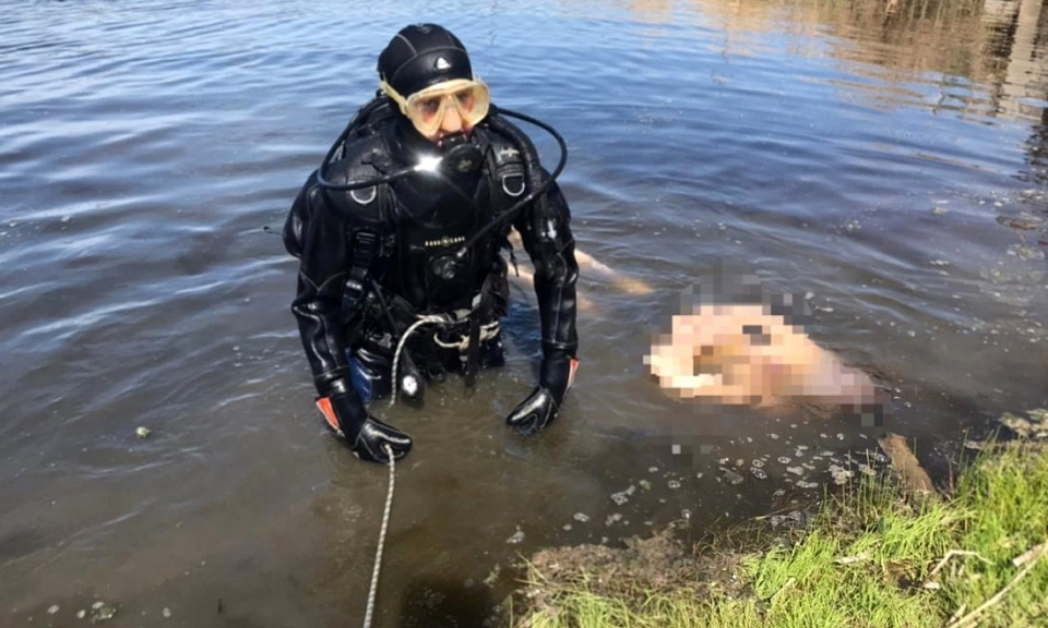 Тело 59-летнего мужчины нашли в реке Новосибирской области