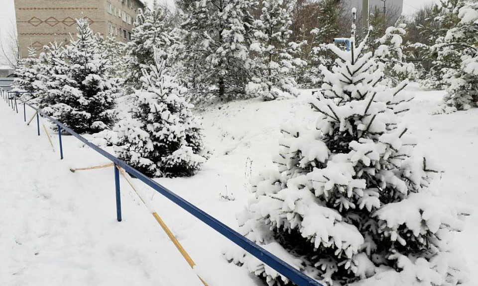 Морозы начнут отступать с 20 февраля в Новосибирской области