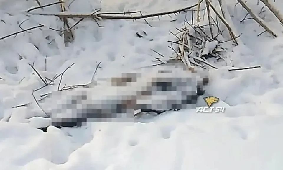 В Бугринской роще Новосибирска нашли тело многодетного отца