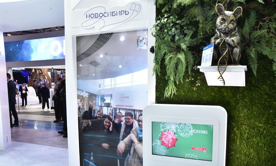 Будет ли своя выставка Новосибирской области: ответ губернатора